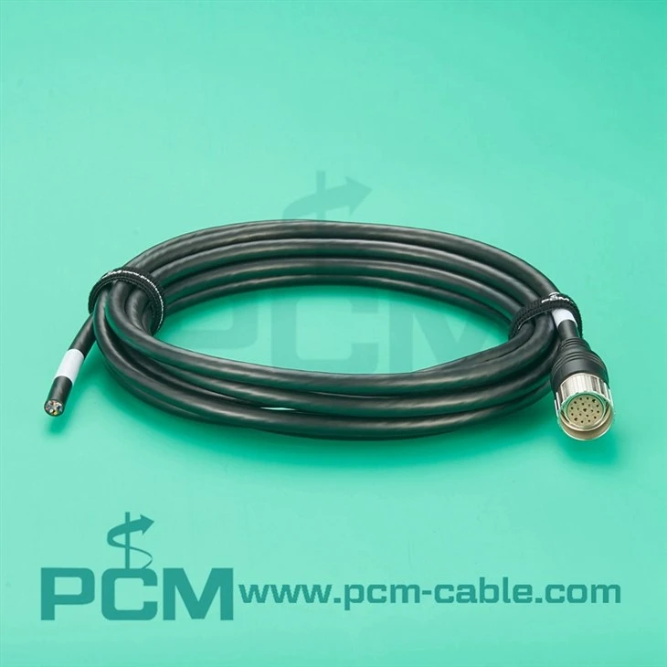 M23 19-Pin Straight Female to Open-End Cable for Robotics and Motion Control
